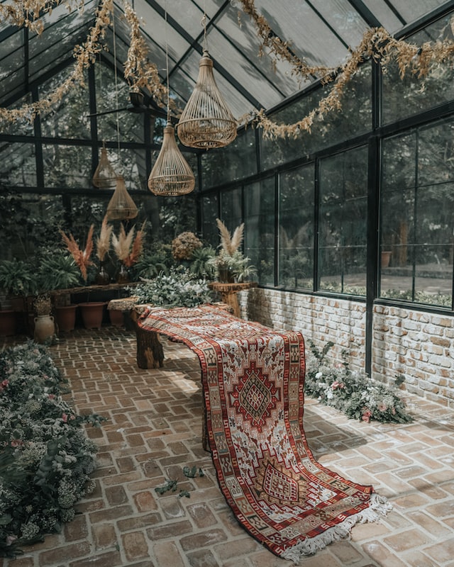 carpet and a plants