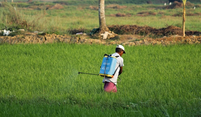 men is exterminating with pesticides