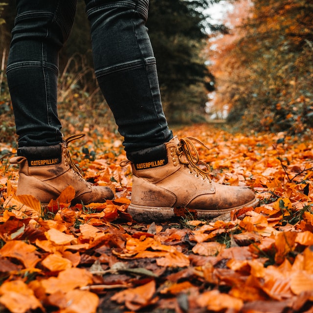 muddy shoes in the autumn forest