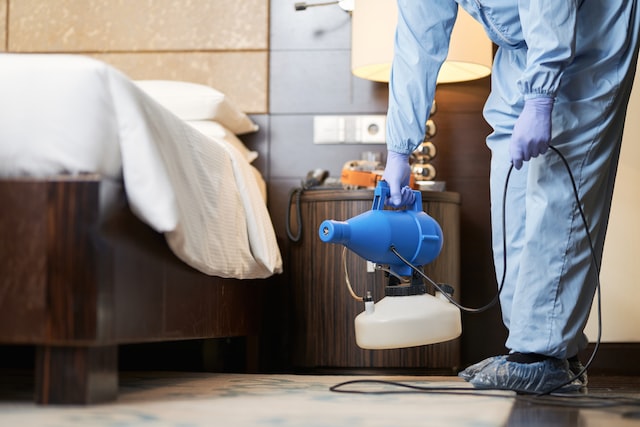 person holding steam cleaner