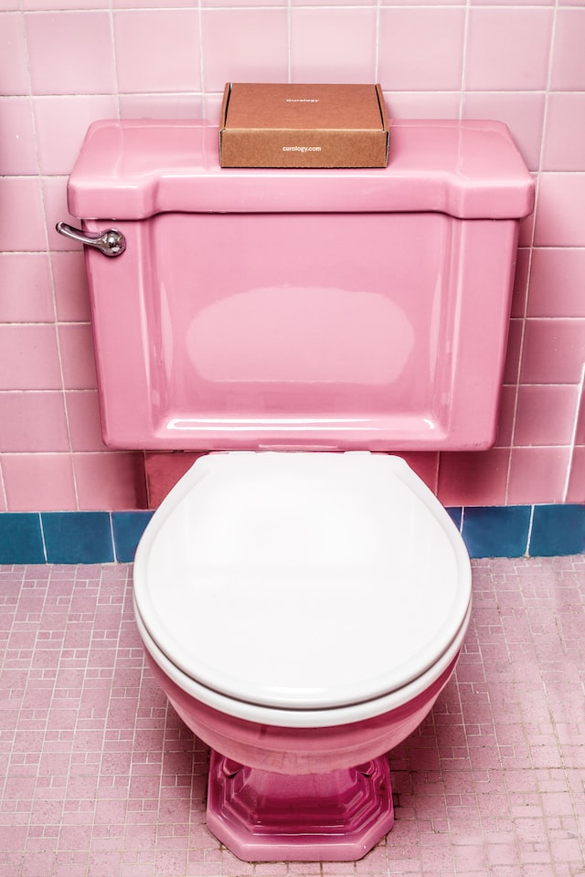 pink toilet