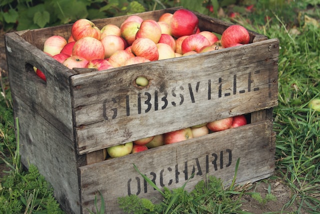 wooden boxes with apples