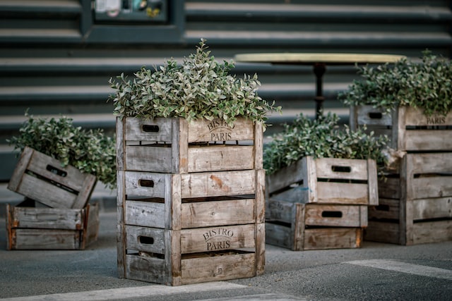 wooden boxes with plants